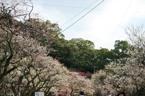 c0129498_0113791.jpg