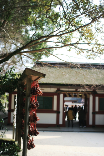 c0129498_0114968.jpg