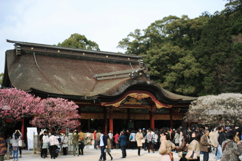 c0129498_0115732.jpg