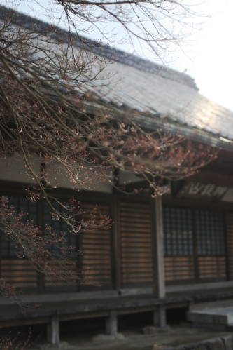 c0129498_0121368.jpg