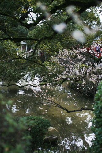 c0129498_01278.jpg