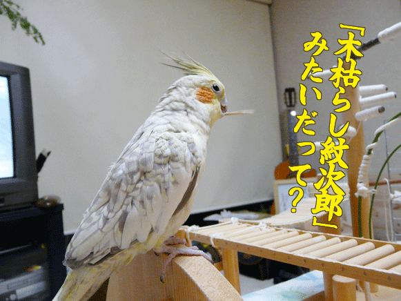 b0240299_175893.gif