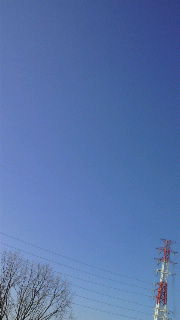 f0114900_7431933.jpg