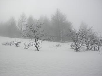 d0032405_2343538.jpg