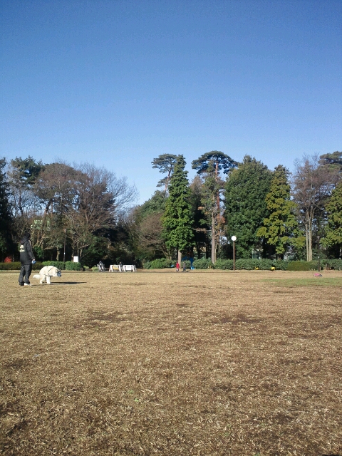 d0241911_11143636.jpg