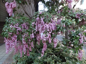 a0219015_23408100.jpg