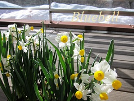 a0192918_21474740.jpg