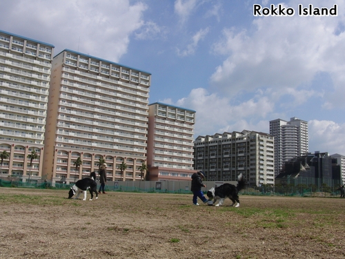 e0179321_2164492.jpg