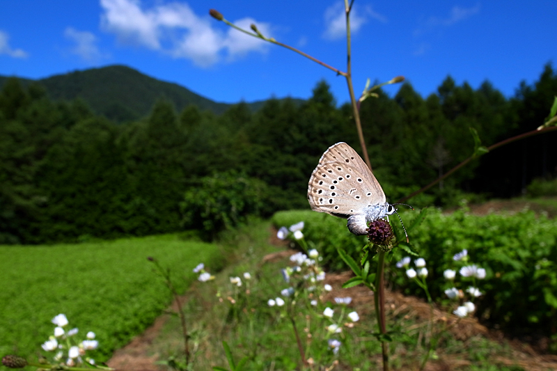 d0054625_0103075.jpg