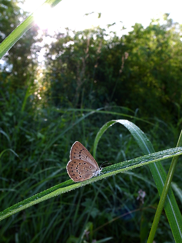 d0054625_033440.jpg