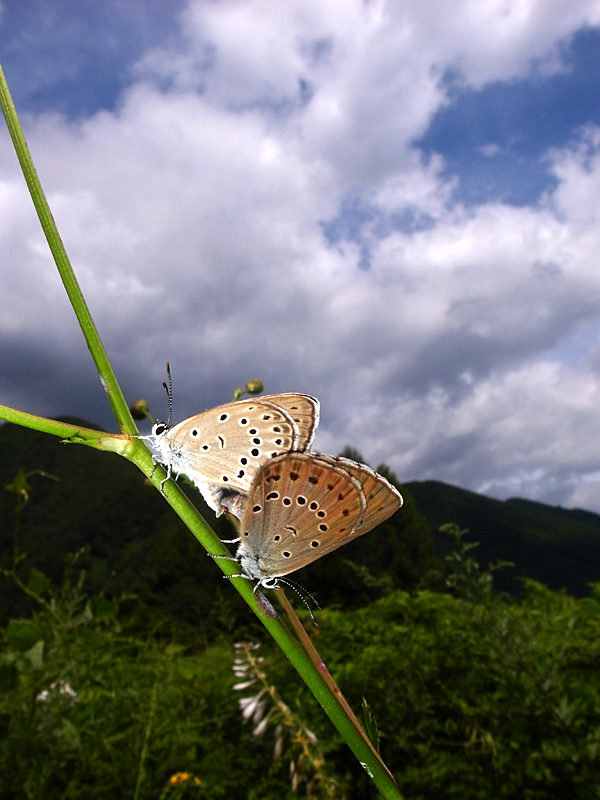 d0054625_084665.jpg