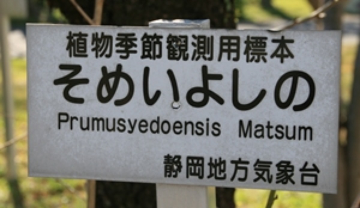 e0033229_1839210.jpg