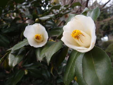 f0231829_21451059.jpg
