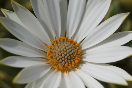 e0223337_231639.jpg