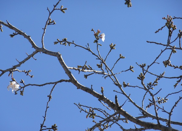 f0042737_10564477.jpg