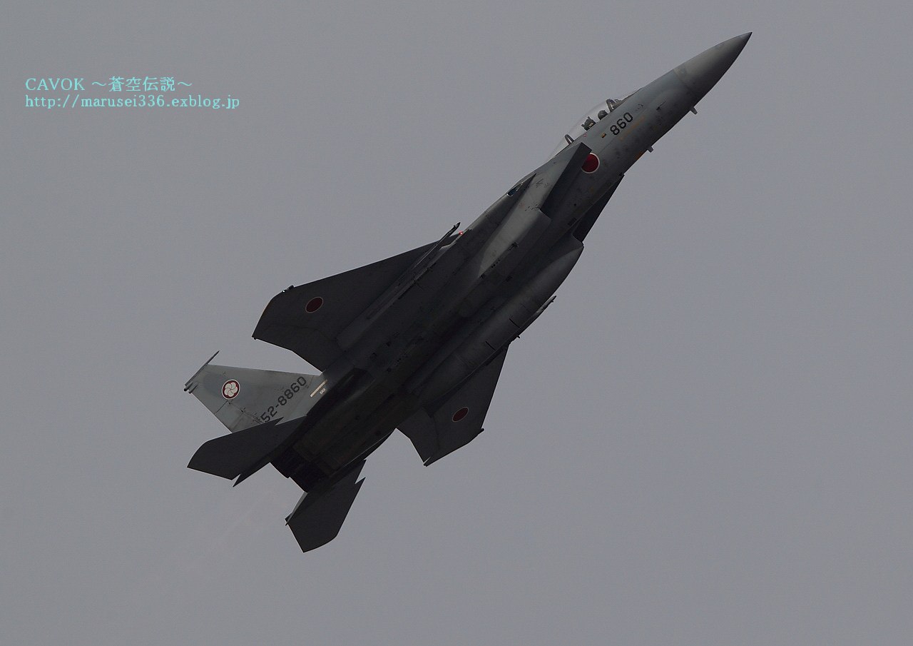 d0193838_8463662.jpg