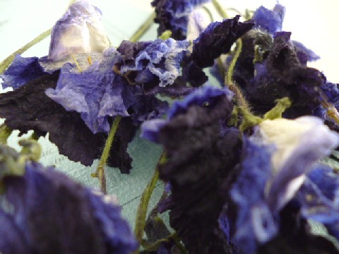 a0255040_20423136.jpg