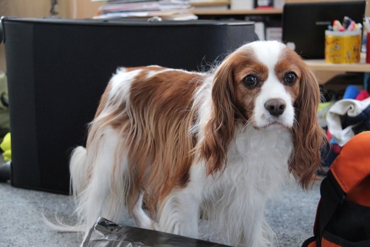 c0153740_2141234.jpg