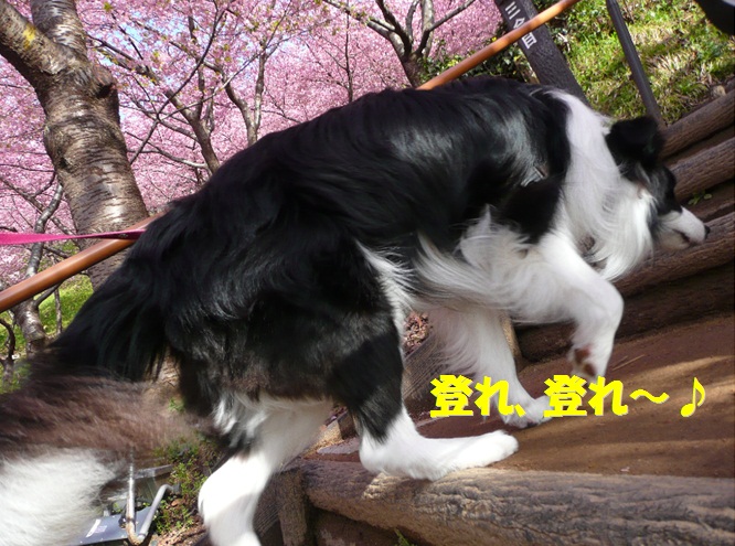 c0147241_2022248.jpg