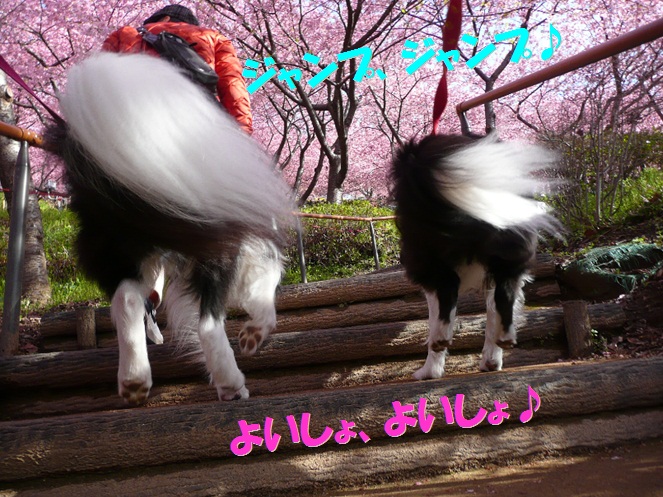c0147241_2023131.jpg
