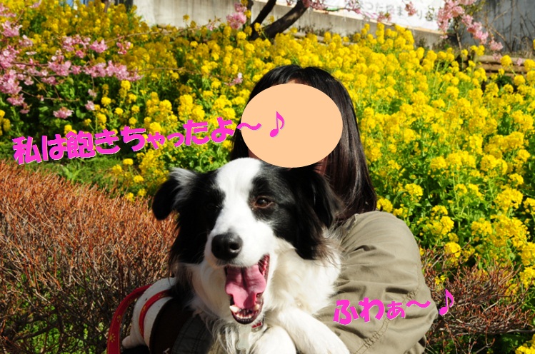 c0147241_2031599.jpg
