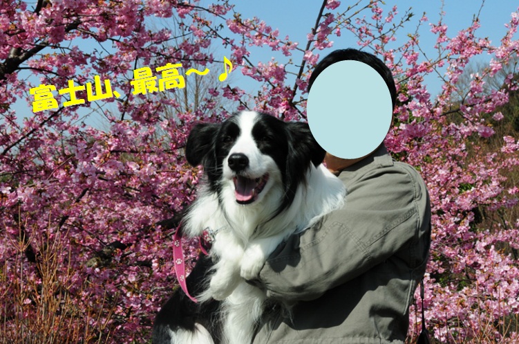 c0147241_2033294.jpg
