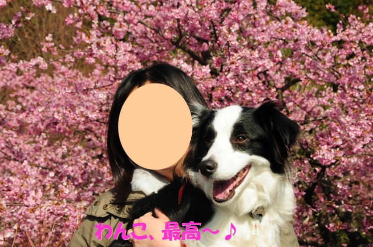 c0147241_2033882.jpg