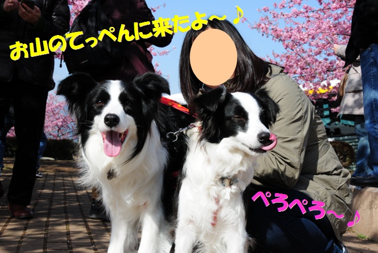 c0147241_203457.jpg
