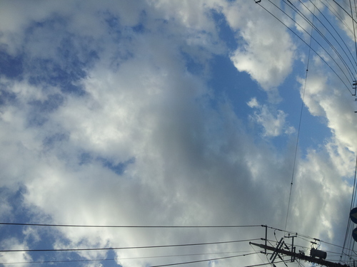 d0075741_2421124.jpg