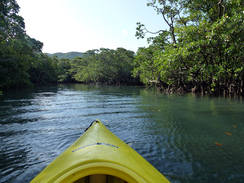 f0014842_1750086.jpg