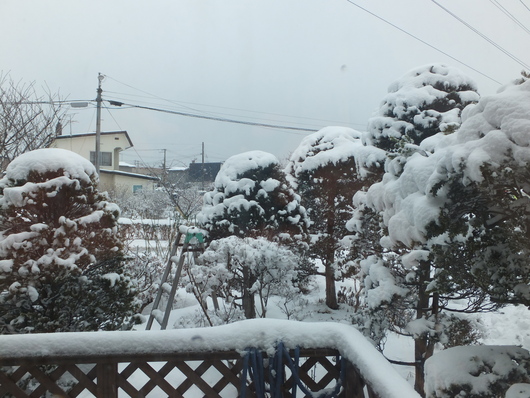 c0153444_96035.jpg