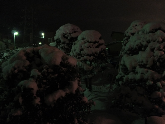 c0153444_972085.jpg