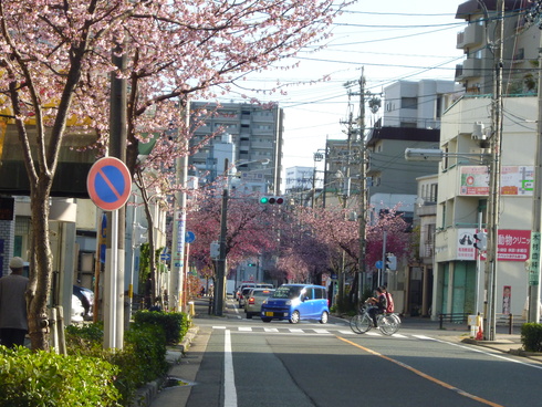 c0190847_11345273.jpg