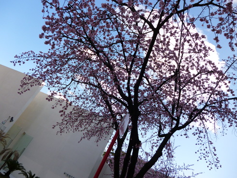 c0190847_11345545.jpg