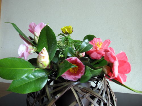 c0147952_11204435.jpg