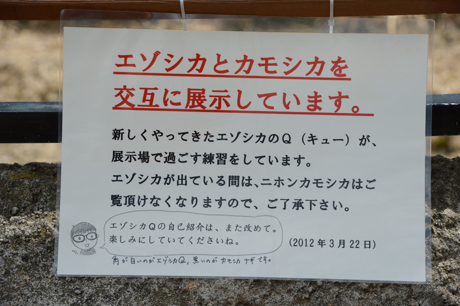b0023856_1837151.jpg