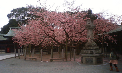 f0212356_11282996.jpg
