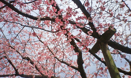 f0212356_11284971.jpg