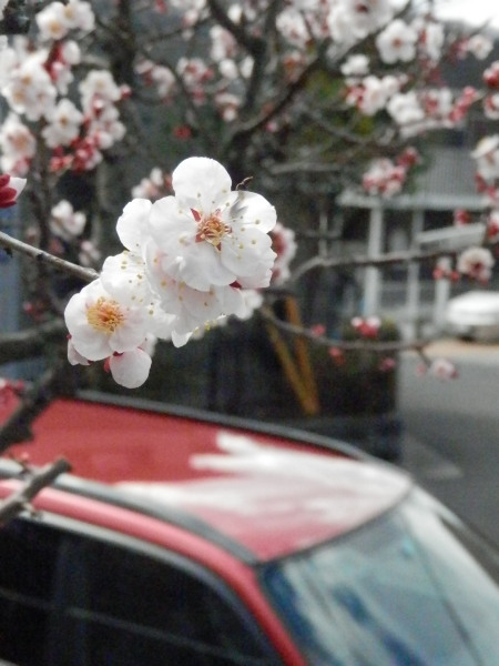 c0122670_13484361.jpg