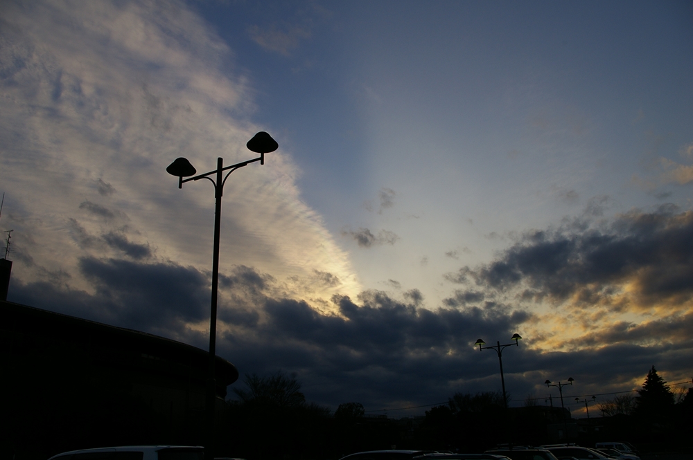 d0031171_205520.jpg