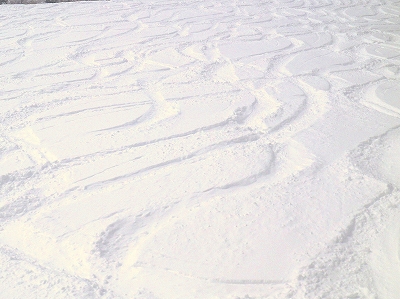 f0182173_10365349.jpg
