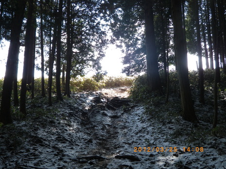 c0019376_19473769.jpg