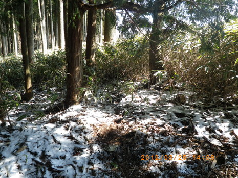 c0019376_19493795.jpg