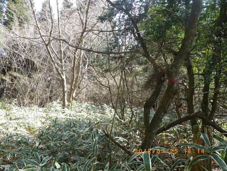 c0019376_204378.jpg