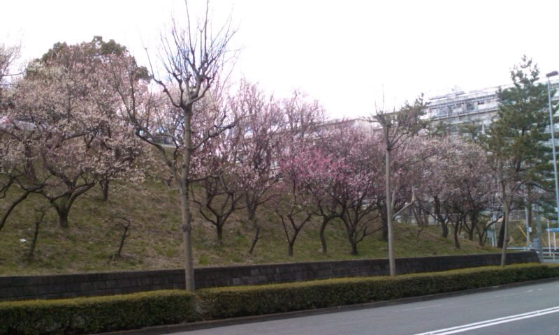 b0071980_11283574.jpg