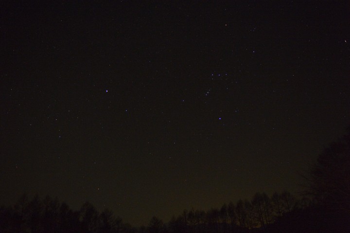 b0102780_946850.jpg