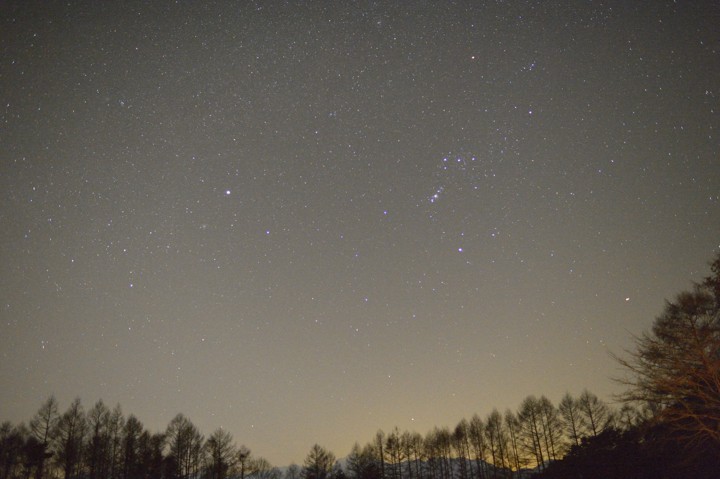 b0102780_950531.jpg