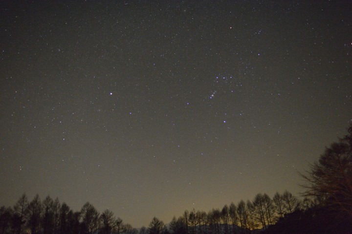 b0102780_9551520.jpg
