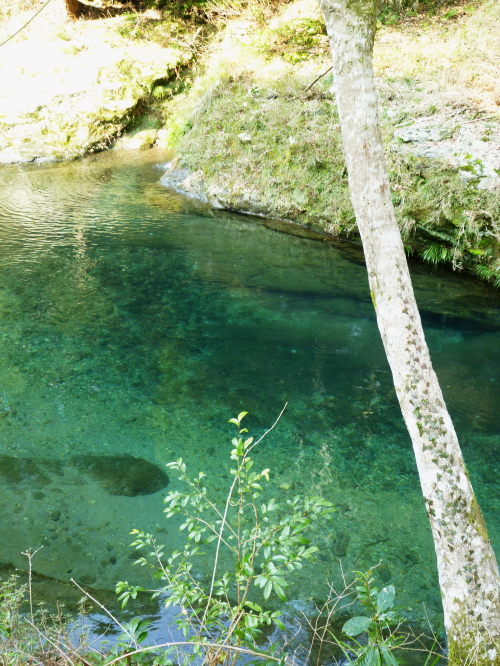 d0179983_17261655.jpg