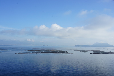 d0160488_21245248.jpg